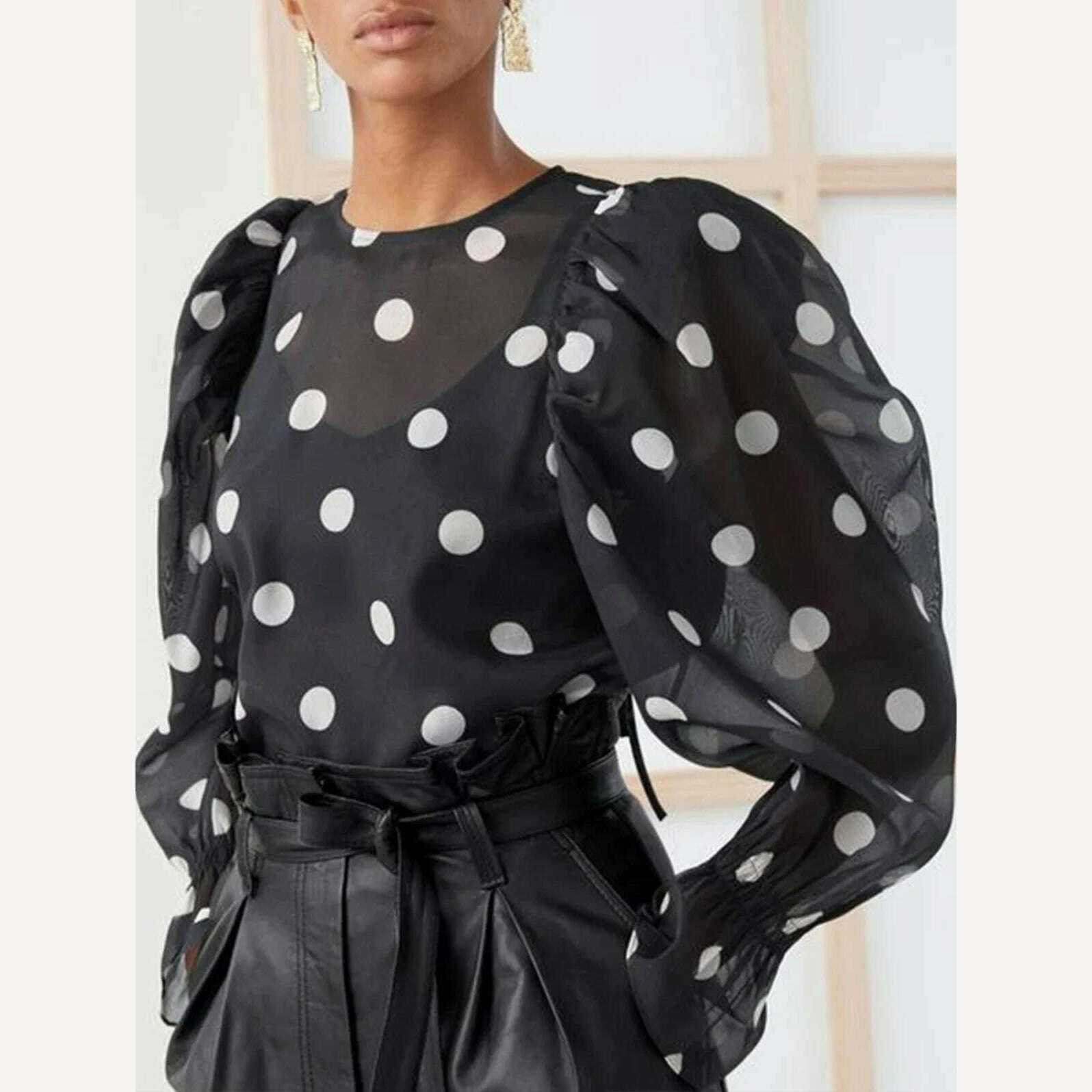 Women Fashion Casual Sexy Elegant Long Sleeve Round Neck Mesh Polka Dot Lantern Sleeve Loose Blouses Shirts Vintage Tops 2024 Delicate Pleat Blouse